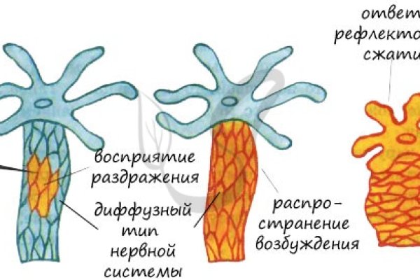 Кракен сайт бошки